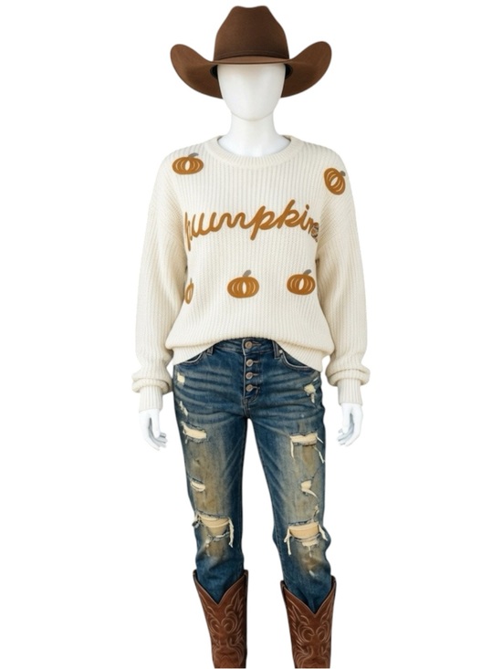 poodit Sweaters - POODIT Cutest pumpkin shaker knit sweater M L